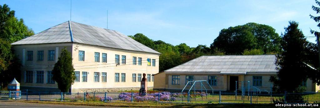 Олесинська загальноосвітня школа І-ІІІ ст.
